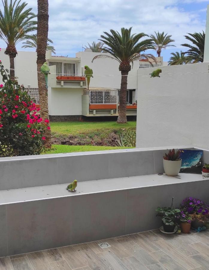Ideal Holiday Apartment In The South Of Tenerife طوستا ديل سيلونثيو المظهر الخارجي الصورة